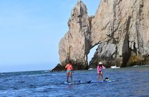 Kayak or Paddle Board & Snorkel to the Arch with Photos included