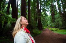 Half-Day Muir Woods & Sausalito Tour with Entry Ticket Included