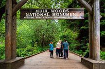 Half-Day Muir Woods & Sausalito Tour with Entry Ticket Included