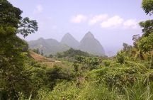 St. Lucia Tet Paul Nature Trail Tour