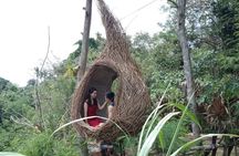 Best of Ubud Full Day Private Guided Tour