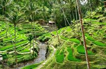 6 Days Best Of Bali And Nusa Penida All Inclusive Private Tour