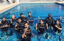 Scuba diving lesson for beginners (1 hour )