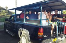 Safari Extravaganza