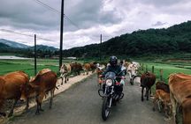 01 Day Easy Rider from Da Lat to Mui Ne by motorbike