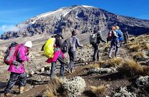 7 Days Mount Kilimanjaro Machame Route