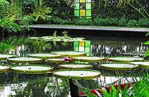Penang Round Island Tour With Tropical Spice Garden & Entopia Butterfly Farm