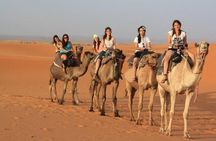 Book 5 days Tour private Van 8 Seats 