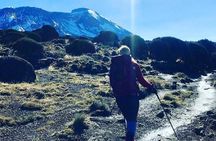 7 Days Mount Kilimanjaro Machame Route