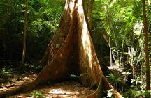 Amazing Full-Day Nature Discovery in Krabi