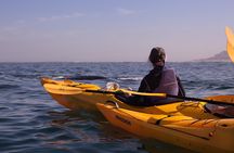 Kayak to the penguins in Simons Town