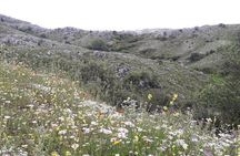 Corfu from Above: Hiking at the Highest Peak of Corfu