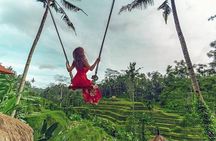 Bali Individual Route With Private English Speaking Driver