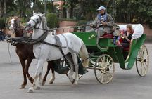 Marrakech Excursion – Group Shared Tour from Agadir with Guide