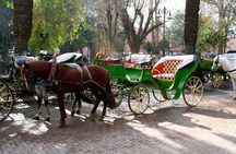 Marrakech Excursion – Group Shared Tour from Agadir with Guide