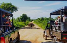 Yala National park with tickets with jeep safari from Hambantota