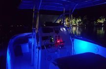 Night Bioluminescence Snorkel Tour