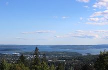 Oslo Panorama Tour with Holmenkollen Ski Jump and Vigeland Park