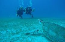 Discover Fajardo: 2-Tank Scuba Diving 