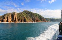Dolphin & Whale Cruise
