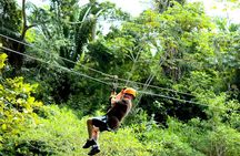 Private Jungle Zip Line Adventure From Belize City
