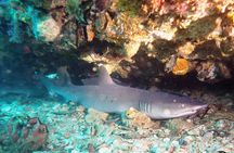 Bali Scuba Diving at Padang Bai for Certified Diver