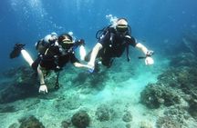 Try Scuba Diving at Padang Bai