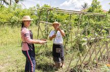 Small-Group Farm Tour & Balinese Cooking Class in Ubud with Kadek