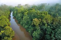  Sky-Mirror Photographing and Proboscis Monkey & Fireflies Watching River-Cruise