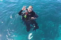 Scuba Dive The Beautiful Rottnest Island for Certified divers