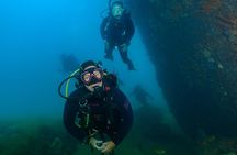 Scuba Dive The Beautiful Rottnest Island for Certified divers