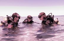 Scuba Dive The Beautiful Rottnest Island for Certified divers