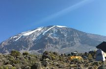 Mount Kilimanjaro Day Hike