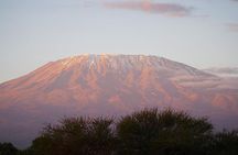 Mount Kilimanjaro Day Hike