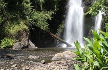 Mount Kilimanjaro Day Hike