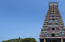 Delft & Nagadeepa Islands: Private Full-Day Escape from Jaffna