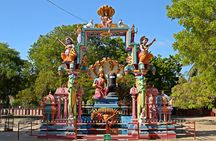 Delft & Nagadeepa Islands: Private Full-Day Escape from Jaffna