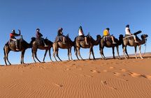 Luxury Group Tour in the Sahara (3 days 2 nights)