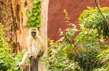 Tsavo East 2days safari