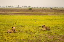 Tsavo East 2days safari