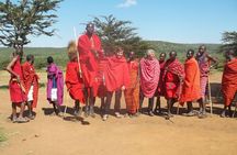 Masai Mara Interactive Safaris 