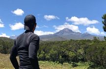 6 Days Mount Kilimanjaro Marangu Route