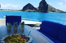 Tour to Bartolome Island + Bahia Sulivan