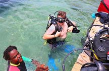 Non Certified Diving Experience plus Transportation