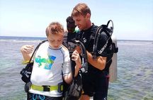 Non Certified Diving Experience plus Transportation