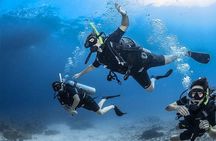 Non Certified Diving Experience plus Transportation