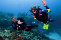 Non Certified Diving Experience plus Transportation