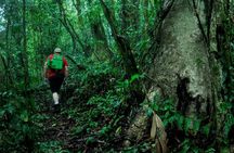 Extreme Nature Hike Fortuna to Monteverde