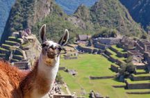 Ultimate 1-Day Machu Picchu Adventure by Train