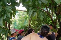 Sloth & Monkeys Family Excursion, City Tour & Private Transfer